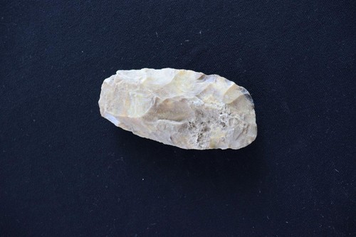 Rare prehistoric north - rare,