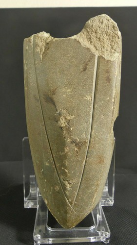 Neolithic stone battle axe - neolithic,